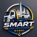 smartrecovery.maxmove.ae